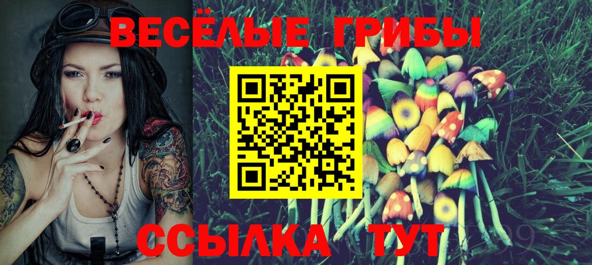 Бузулук  Галлюциногенные грибы MAGIC MUSHROOMS  Вход с VPN 